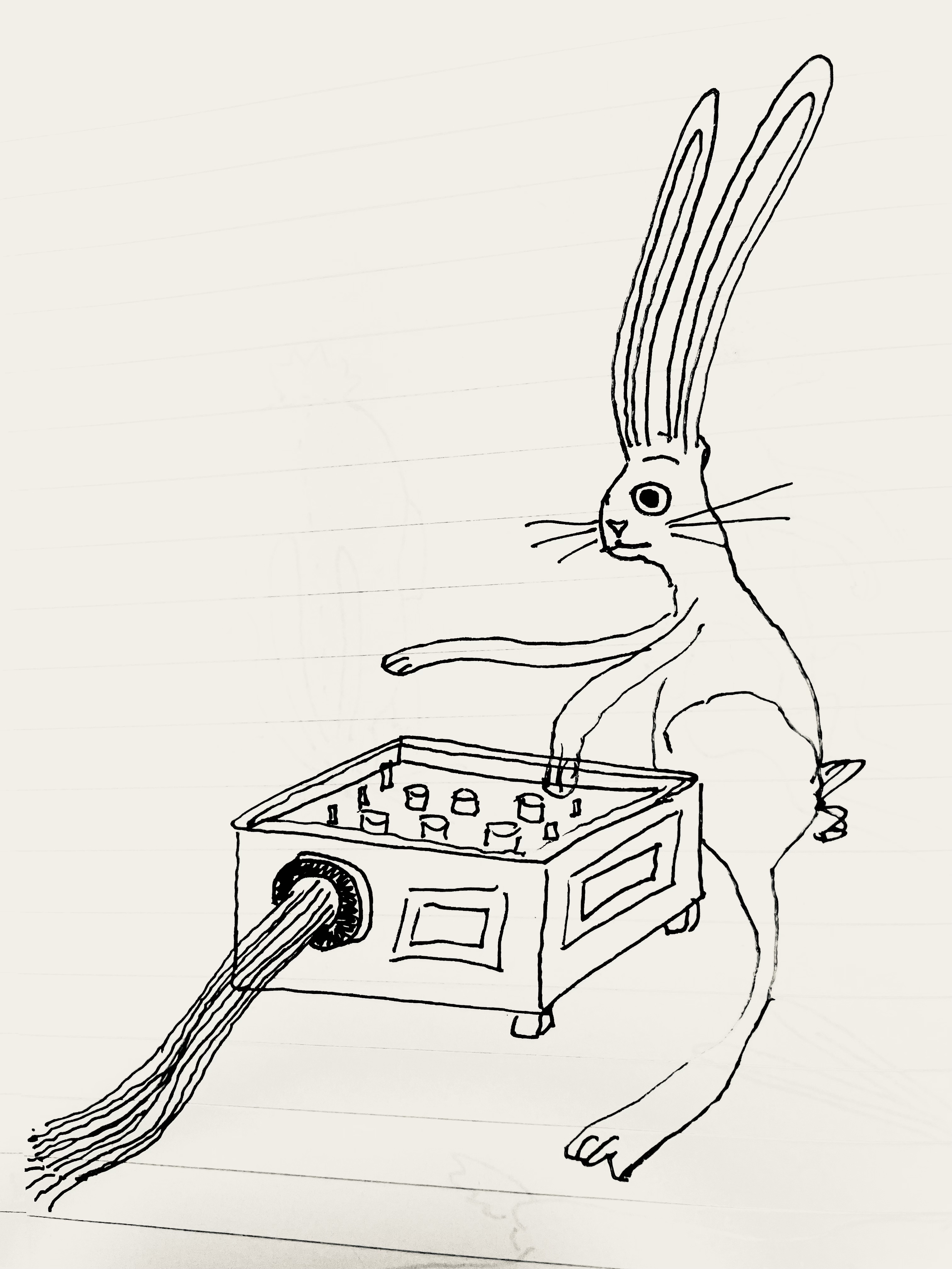 Rabbit with a time machine